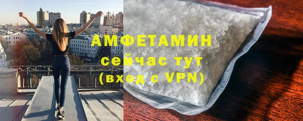 гашик Аркадак
