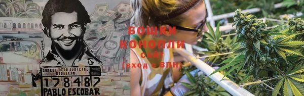 гашик Аркадак