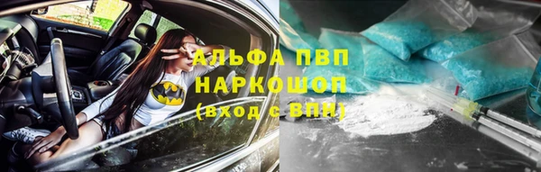 гашик Аркадак